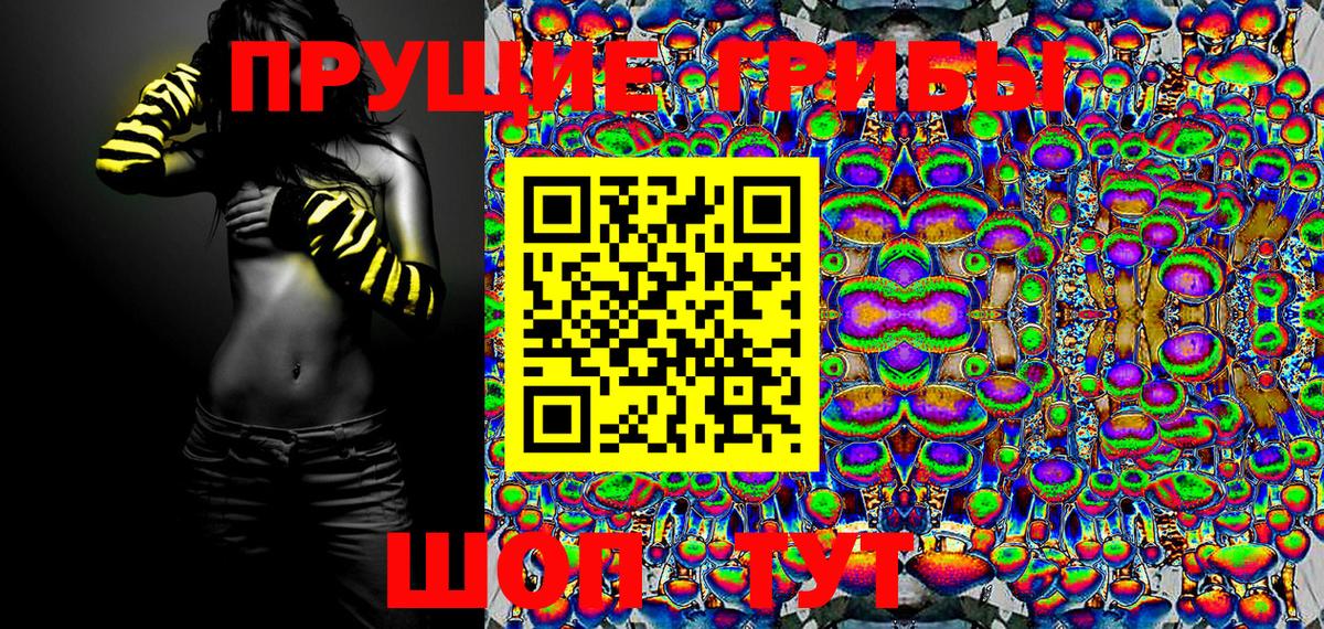 Ухта  Галлюциногенные грибы Psilocybine cubensis  Вход с VPN 
