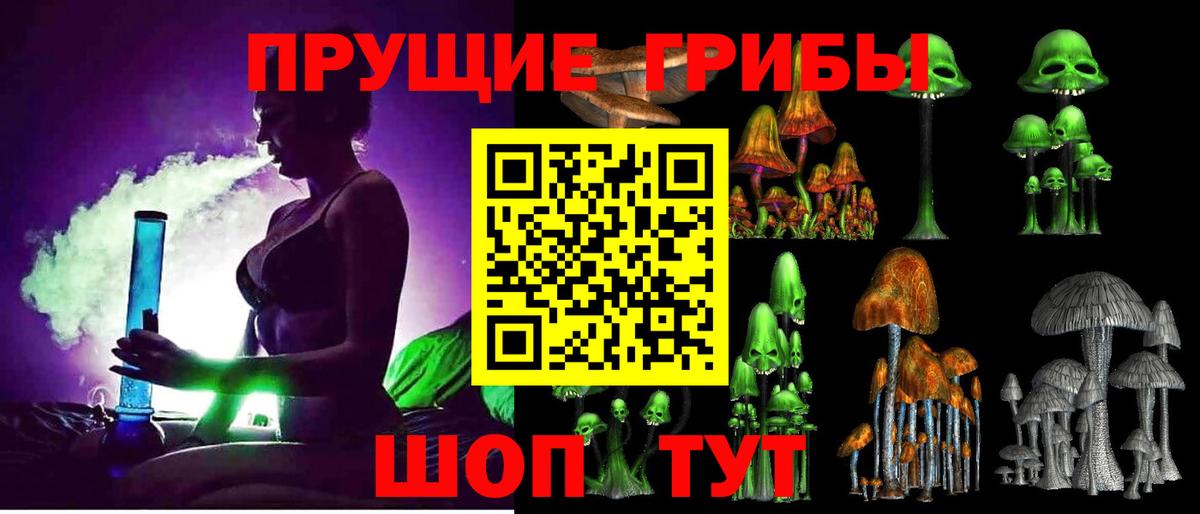 Псилоцибиновые грибы Psilocybine cubensis Ухта