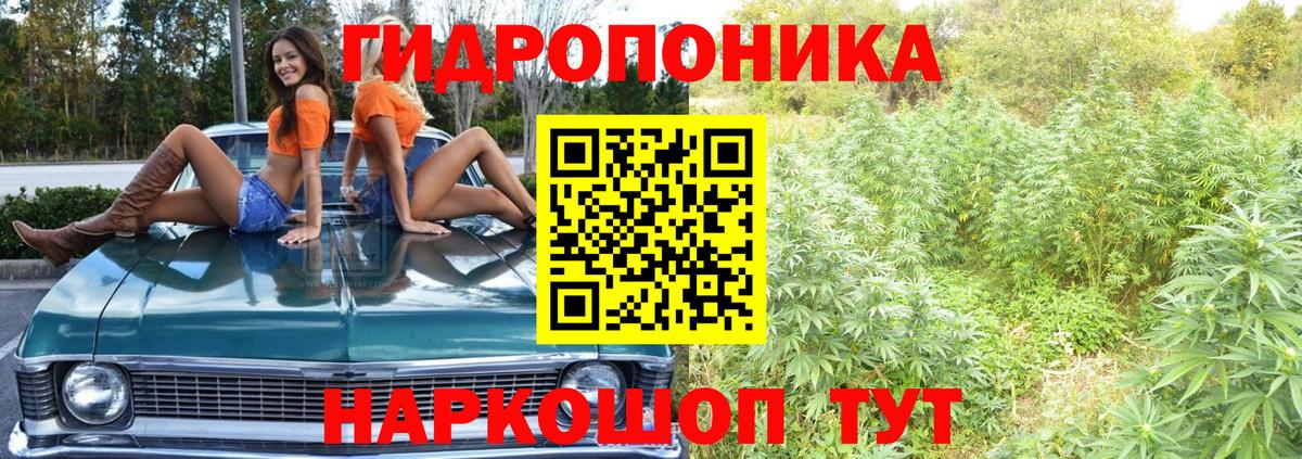 Бошки марихуана THC 21%  Конопля SATIVA & INDICA  Вход с VPN  Бошки марихуана SATIVA & INDICA  Ухта 